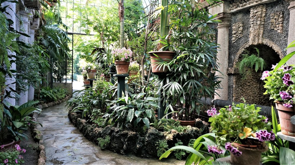 18.06.29_454_ Италия_ о.Изола-Белла_ оранжерея.JPG