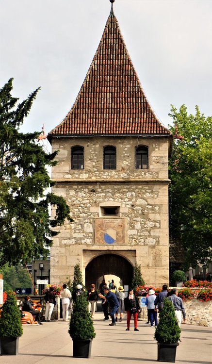 18.06.24_031_  Швейцария_ Рейнский водопад.JPG