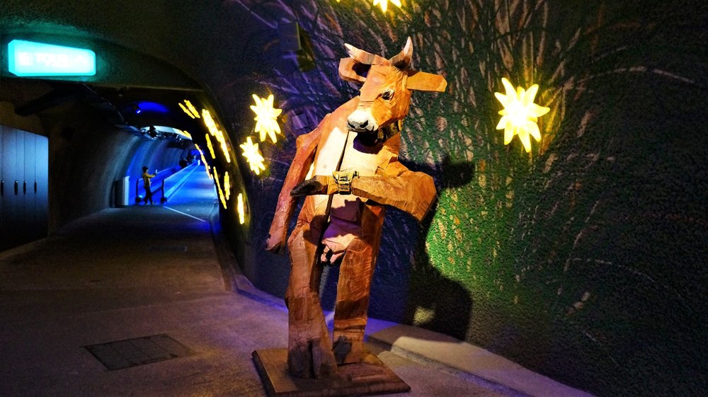 18.06.25_167_ на Юнграуйох.JPG