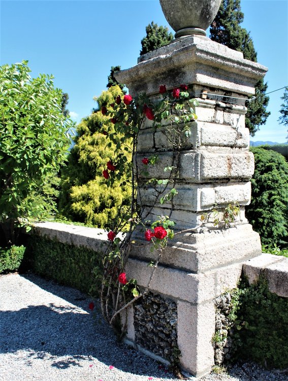 18.06.29_587_ Италия_ о.Изола-Белла.JPG