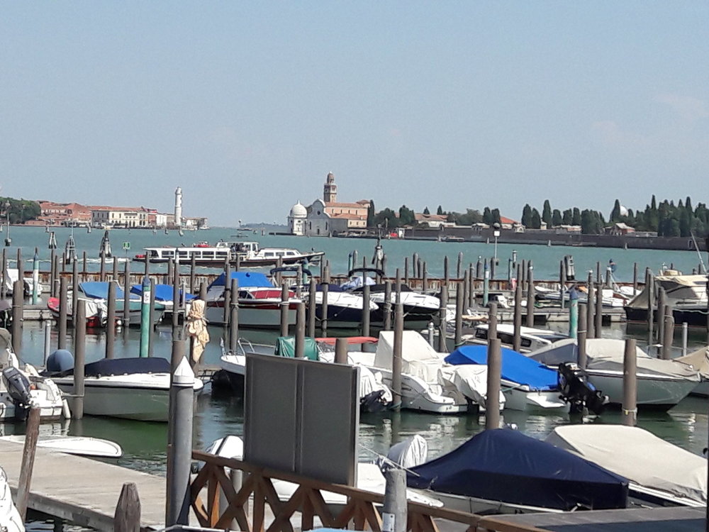 20180822_144516(0).jpg