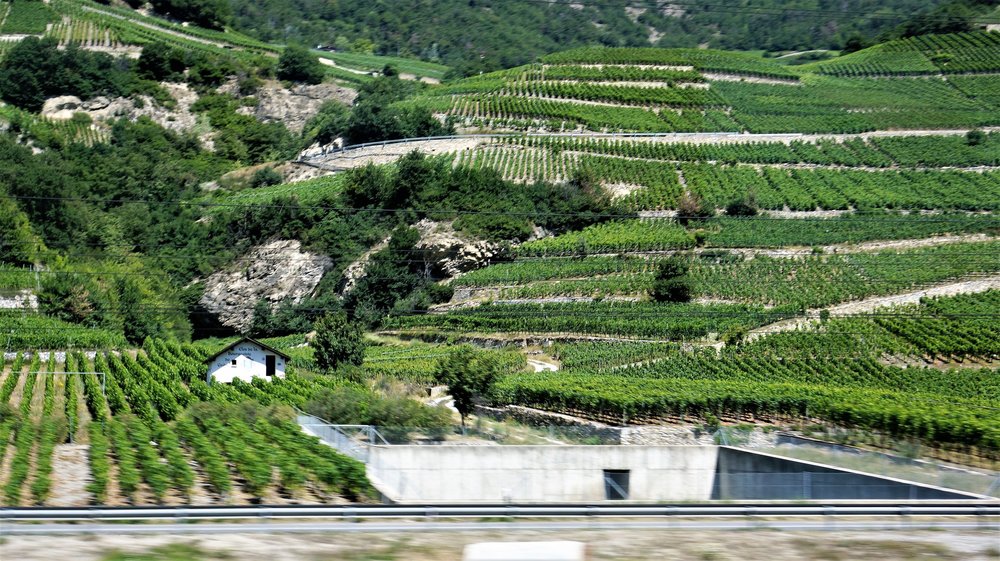 18.06.28_028_Швейцария_ к Цирматту.JPG