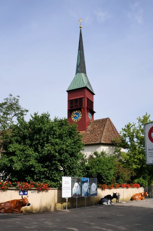 18.06.24_030_  Швейцария_ Рейнский водопад.JPG