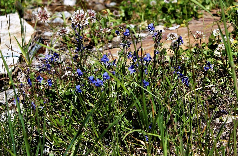 18.06.27_378_ второй уровень.JPG