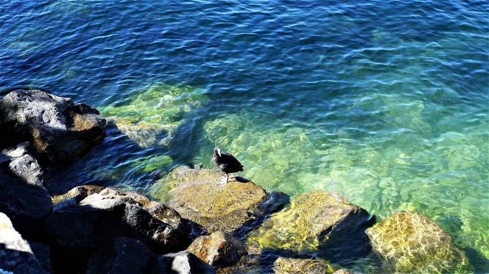 18.06.28_104_Шильонский замок.JPG