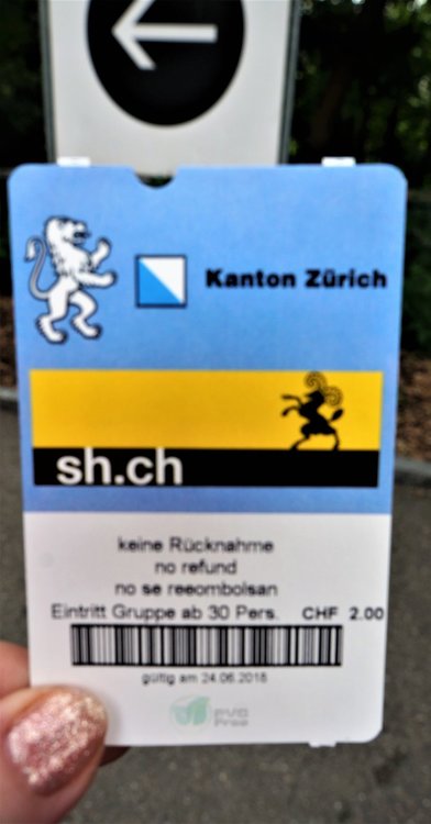 18.06.24_029_  Швейцария_ Рейнский водопад.JPG