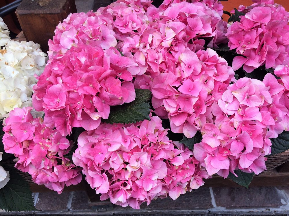 18.06.28_236_ Швейцария_  Цирматт.JPG