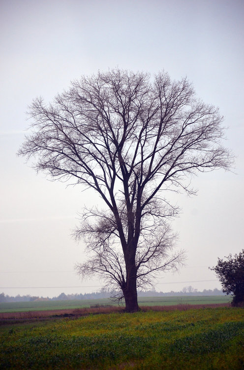 DSC_8603 — копия (2).JPG