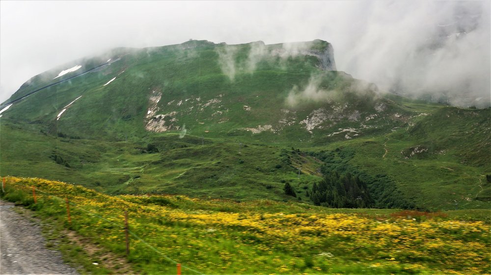 18.06.25_077_ к Юнгфрауйох.JPG