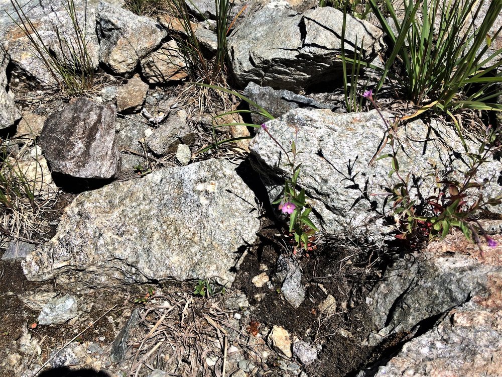 18.06.27_376_ второй уровень.JPG