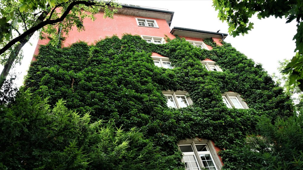 18.06.24_220_  Швейцария_ Цюрих.JPG