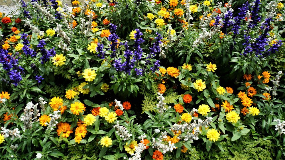 18.06.24_299_  Швейцария_ Цюрих.JPG