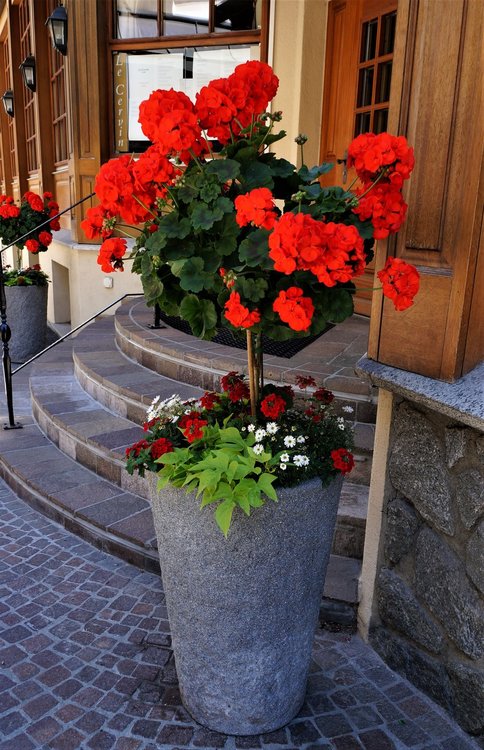 18.06.28_104_ Швейцария_  Цирматт.JPG