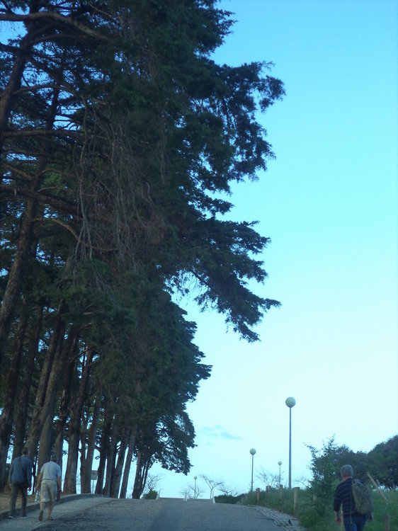 Вечер, спускающийся на Фатиму.JPG