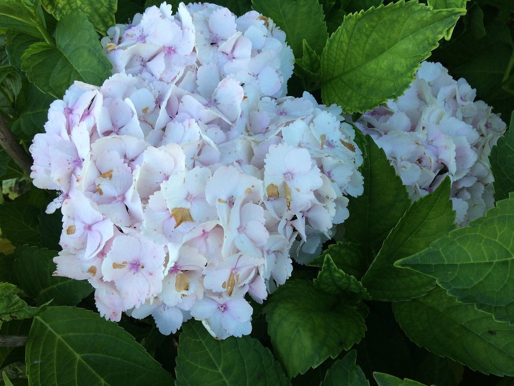 18.06.29_031_ Италия_Стреза.JPG