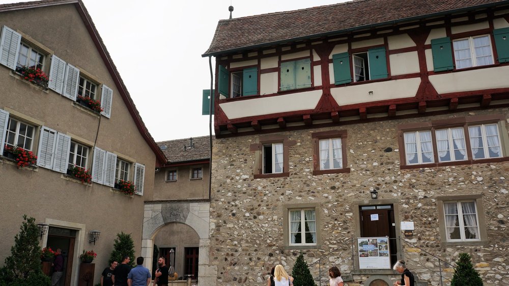 18.06.24_034_  Швейцария_ Рейнский водопад.JPG