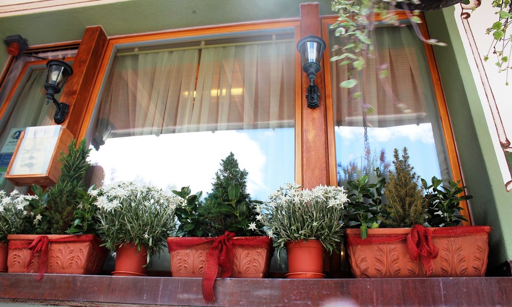 18.06.28_171_ Швейцария_  Цирматт.JPG