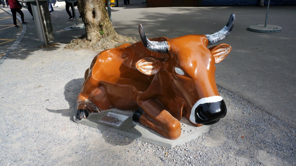 18.06.24_026_  Швейцария_ Рейнский водопад.JPG