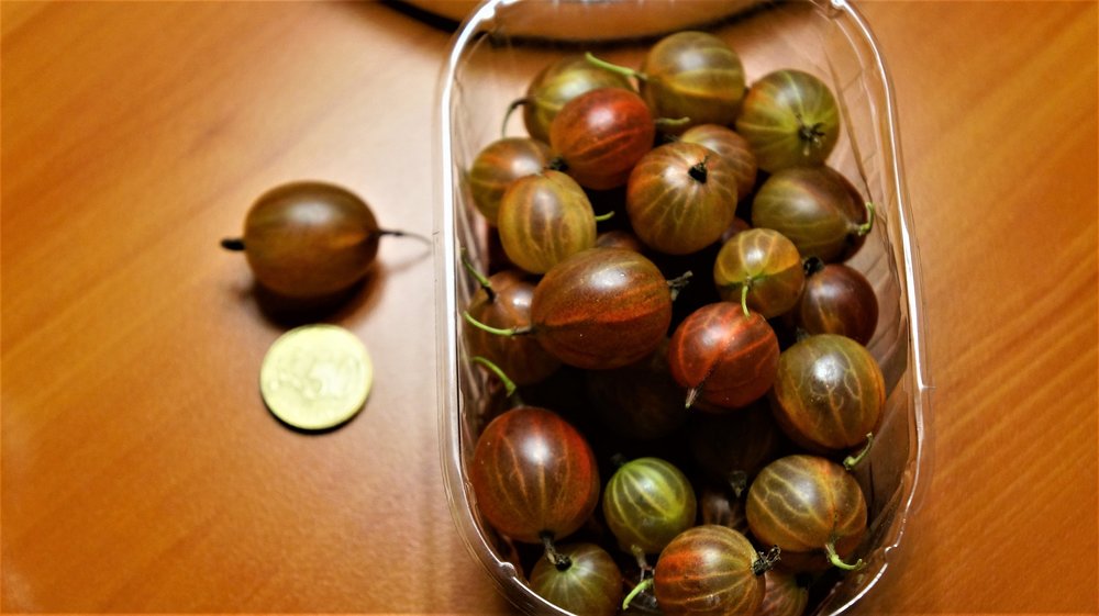 18.06.23_13_ _Отель Central Lowen 4.JPG