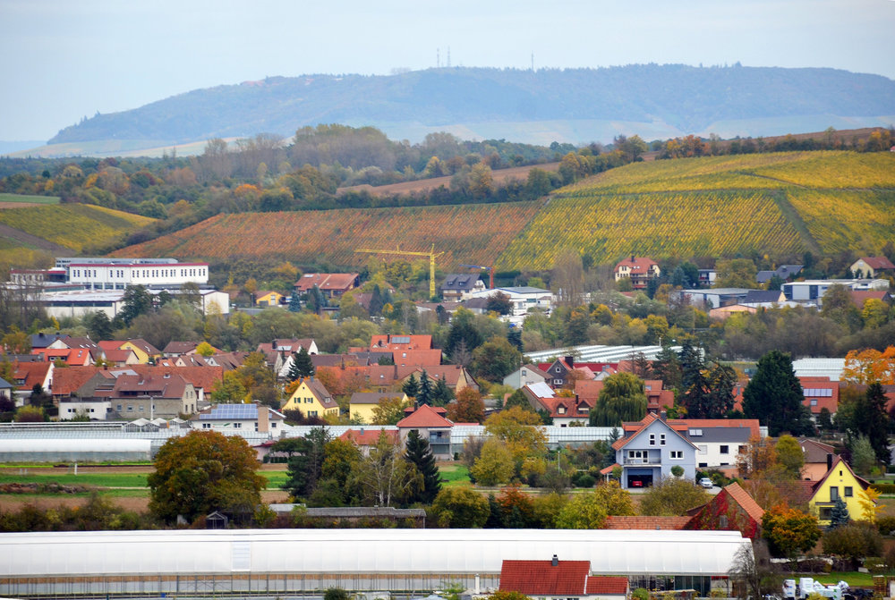 DSC_8325 — копия.JPG