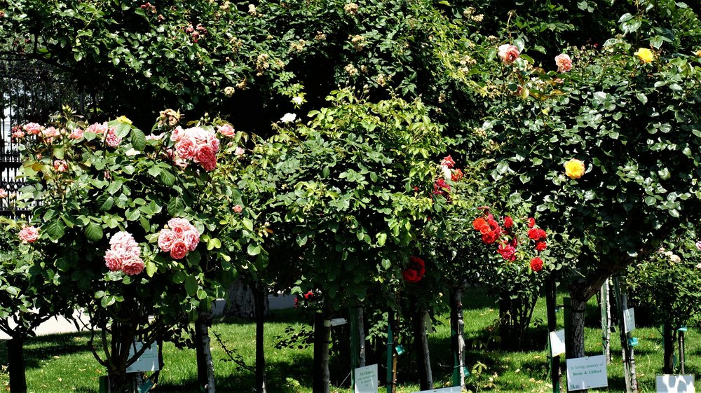 18.06.21_105_ Вена_ Народный парк.JPG