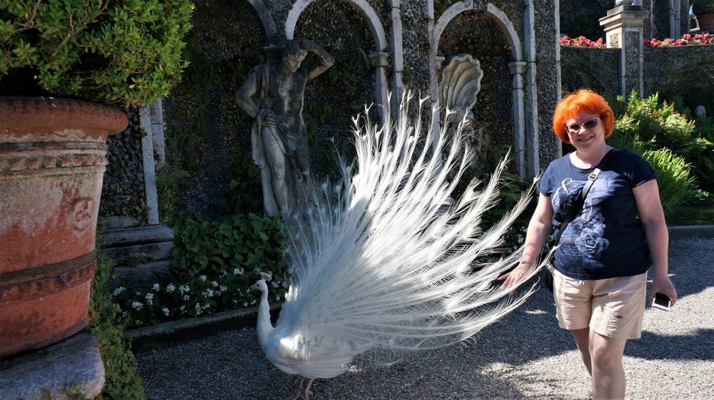 18.06.29_528_ Италия_ о.Изола-Белла.JPG