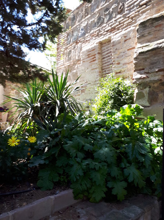 Драгоценная зелень Толедо.jpg