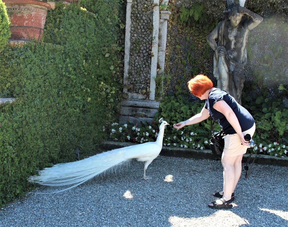 18.06.29_504_ Италия_ о.Изола-Белла.JPG