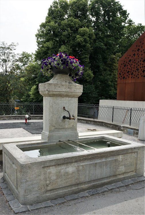 18.06.24_125_  Швейцария_ Рейнский водопад.JPG