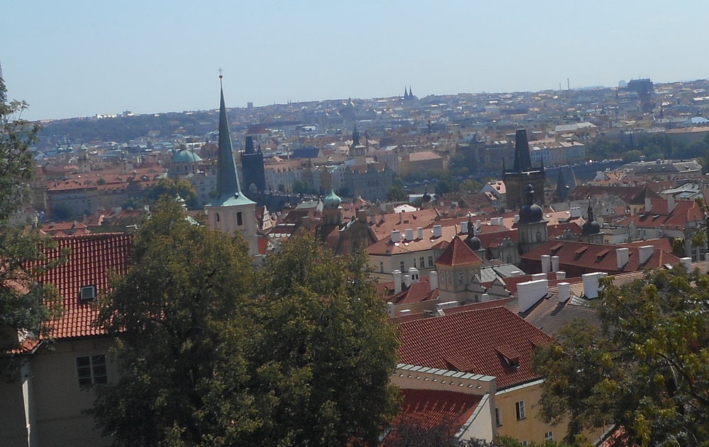 DSCN1895 - копия - копия - копия.JPG