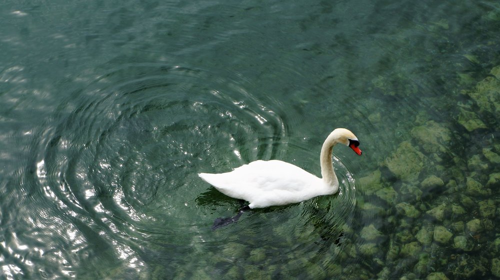 18.06.24_155_  Швейцария_ Цюрих.JPG