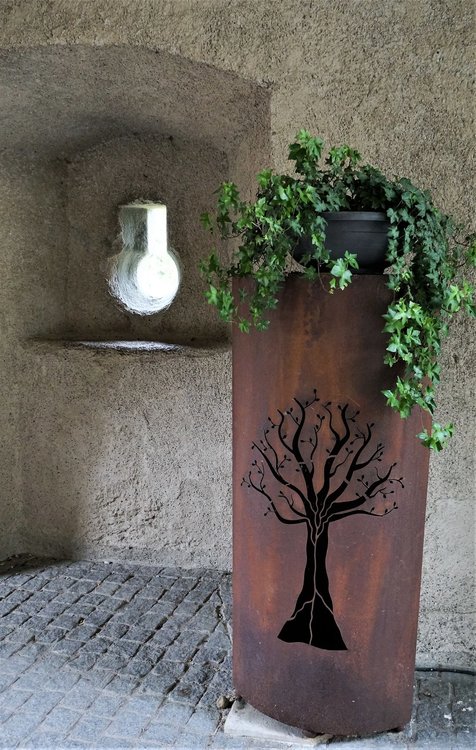 18.06.24_119_  Швейцария_ Рейнский водопад.JPG