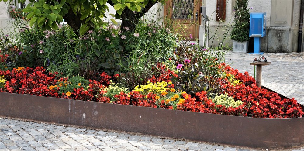 18.06.24_035_  Швейцария_ Рейнский водопад.JPG