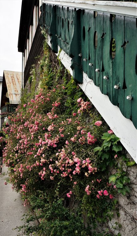 18.06.22_166_ СанктВольфганг.JPG