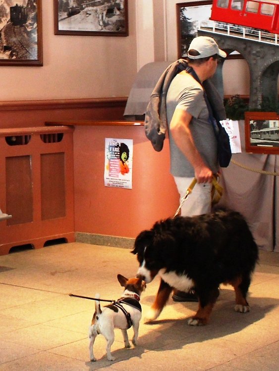 18.06.27_442_ Шамони.JPG