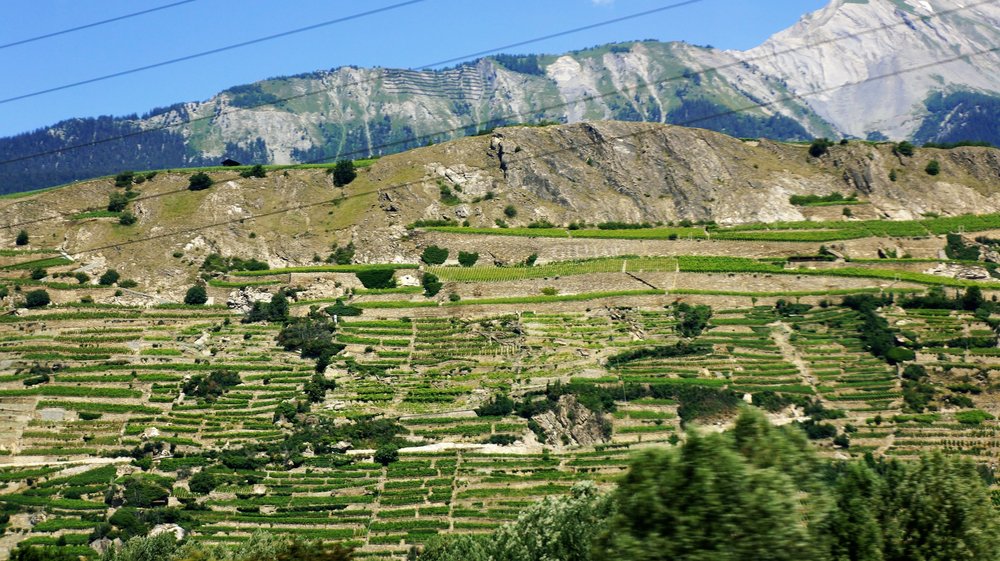 18.06.28_022_Швейцария_ к Цирматту.JPG