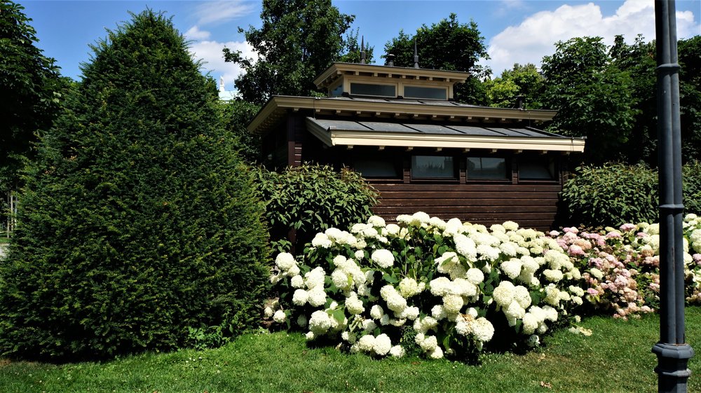 18.06.21_118_ Вена_ Народный парк.JPG