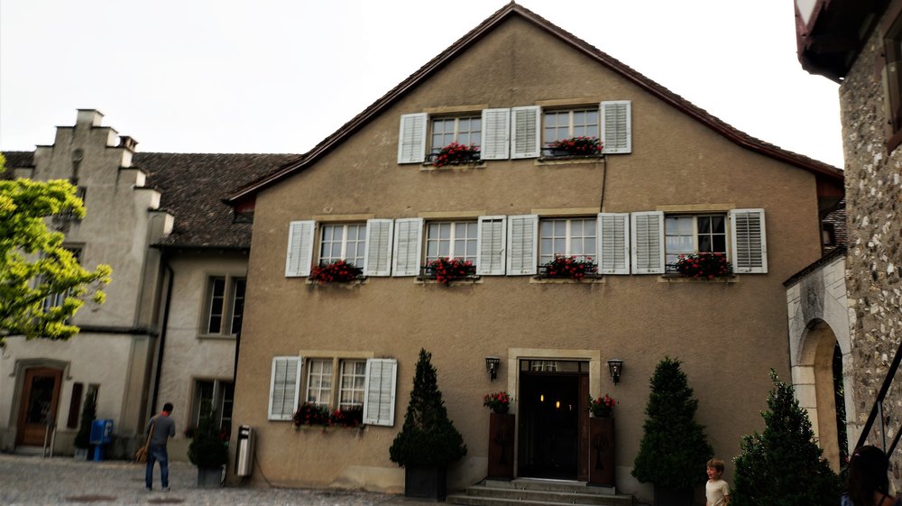 18.06.24_033_  Швейцария_ Рейнский водопад.JPG