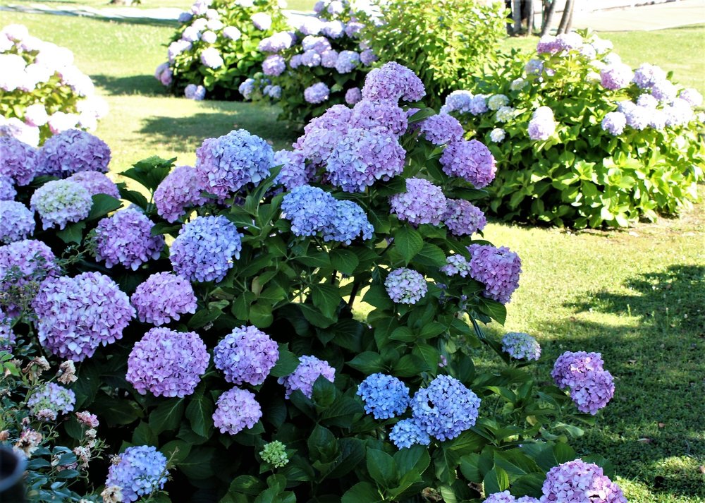 18.06.29_092_ Италия_Стреза.JPG