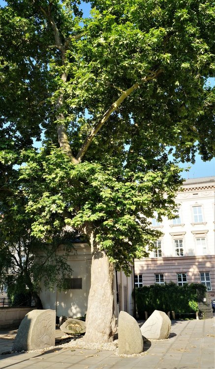 18.06.21_062_ Брно.JPG