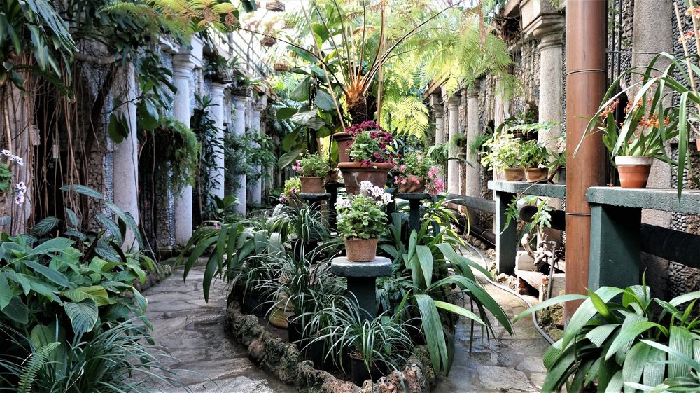 18.06.29_453_ Италия_ о.Изола-Белла_ оранжерея.JPG