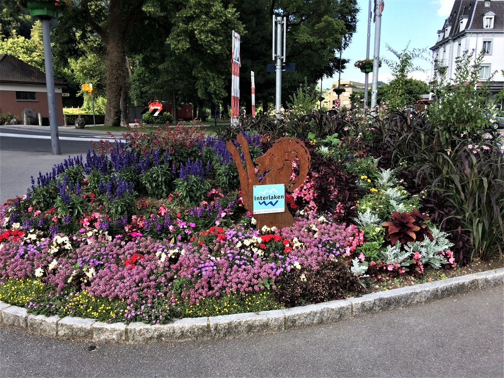 18.06.25_310_  Интерлакен.JPG