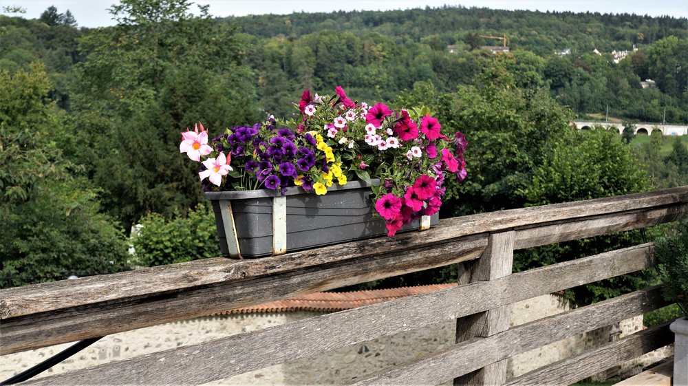 18.06.24_120_  Швейцария_ Рейнский водопад.JPG