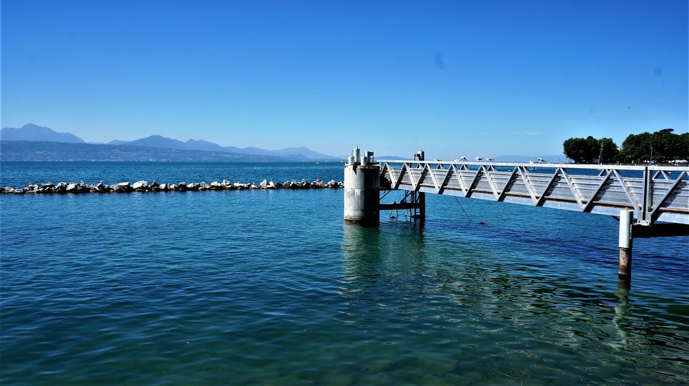 18.06.26_254_ Лозанна_ олимпийский парк.JPG