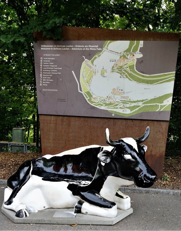 18.06.24_027_  Швейцария_ Рейнский водопад.JPG