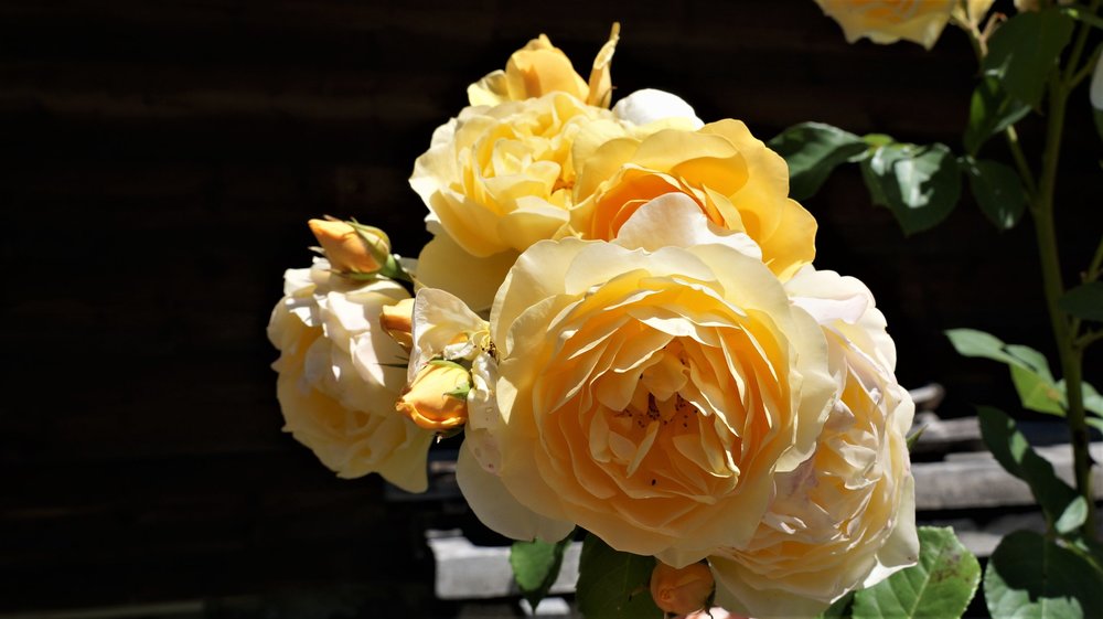 18.06.27_392_ Шамони.JPG