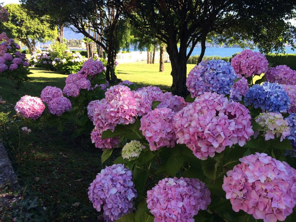 18.06.29_119_ Италия_Стреза.JPG