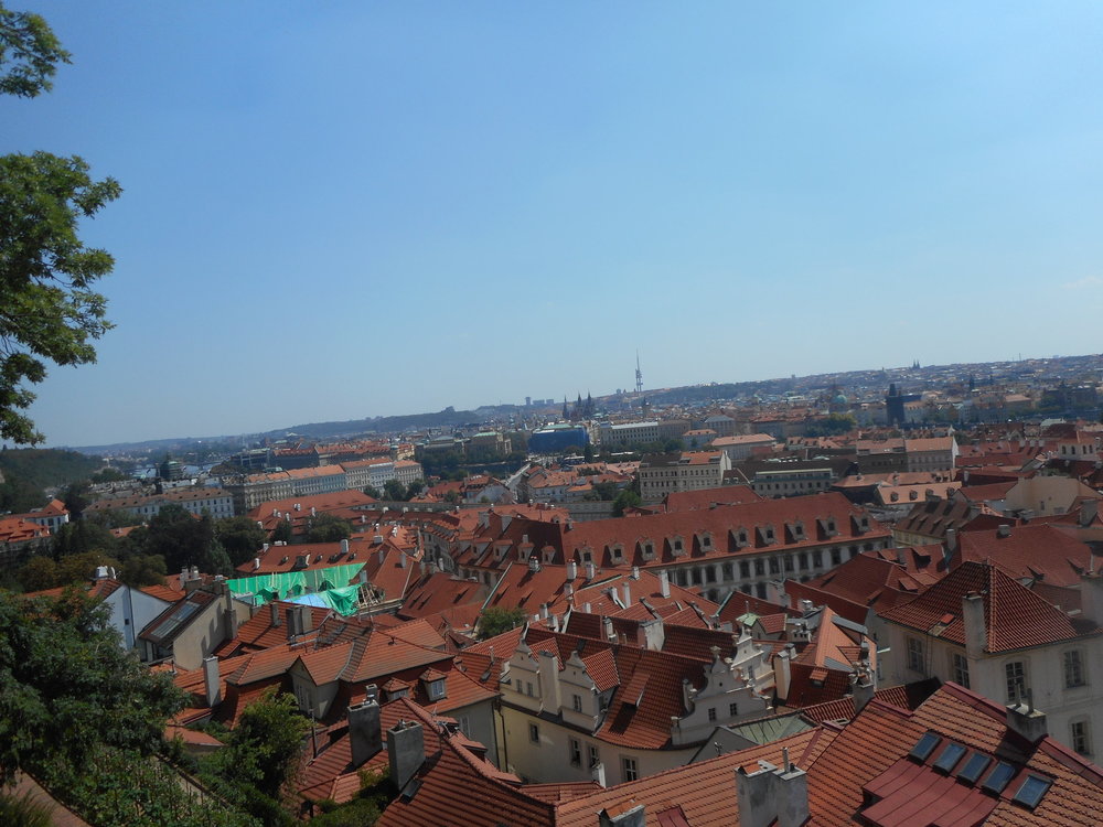 DSCN1901 - копия - копия.JPG