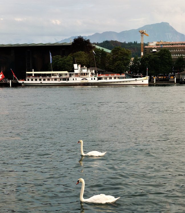 18.06.24_578_  Швейцария_ Люцерн_озеро Четырех кантонов.JPG