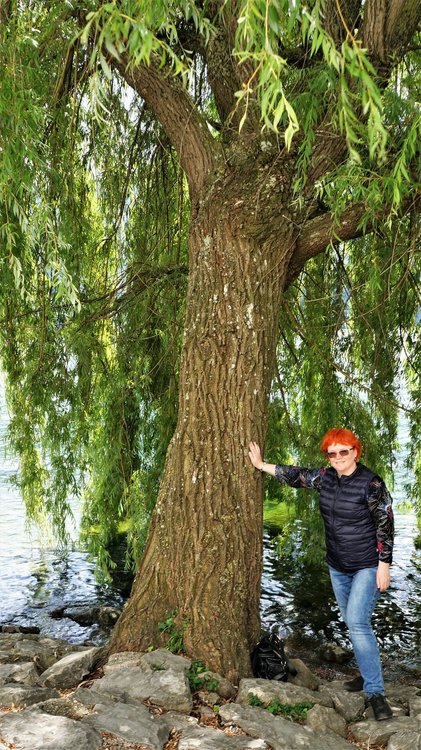 18.06.22_051_ Гмунден_ Озерный замок Орт (Seeschloss Ort).JPG